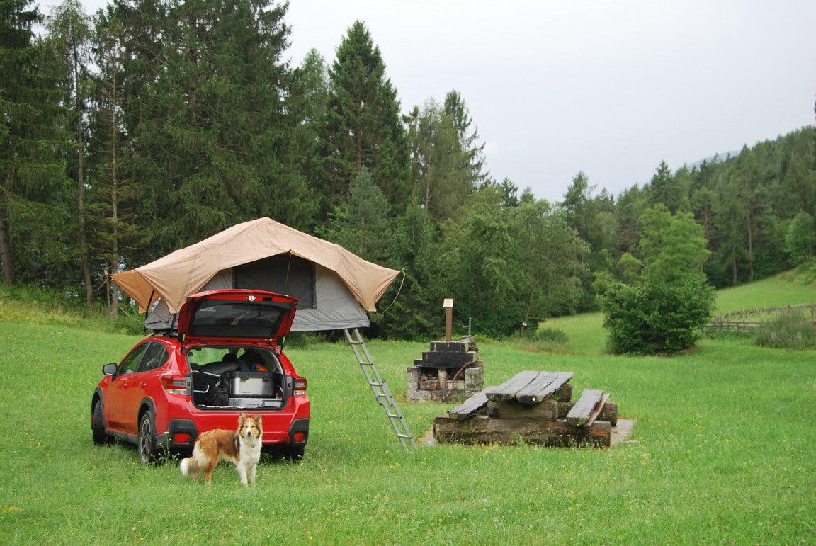 Migliori tende da tetto per viaggi in fuoristrada, maggiolina tenda, tenda da tetto auto decathlon, tenda da campeggio, recensioni tenda da tetto per SUV e fuoristrada, come installare una tenda da tetto